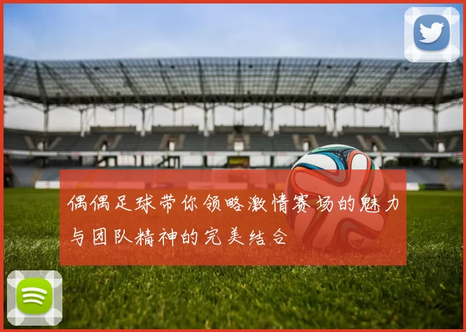 偶偶足球带你领略激情赛场的魅力与团队精神的完美结合