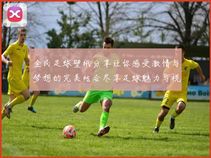 全民足球壁纸分享让你感受激情与梦想的完美结合尽享足球魅力与视觉盛宴